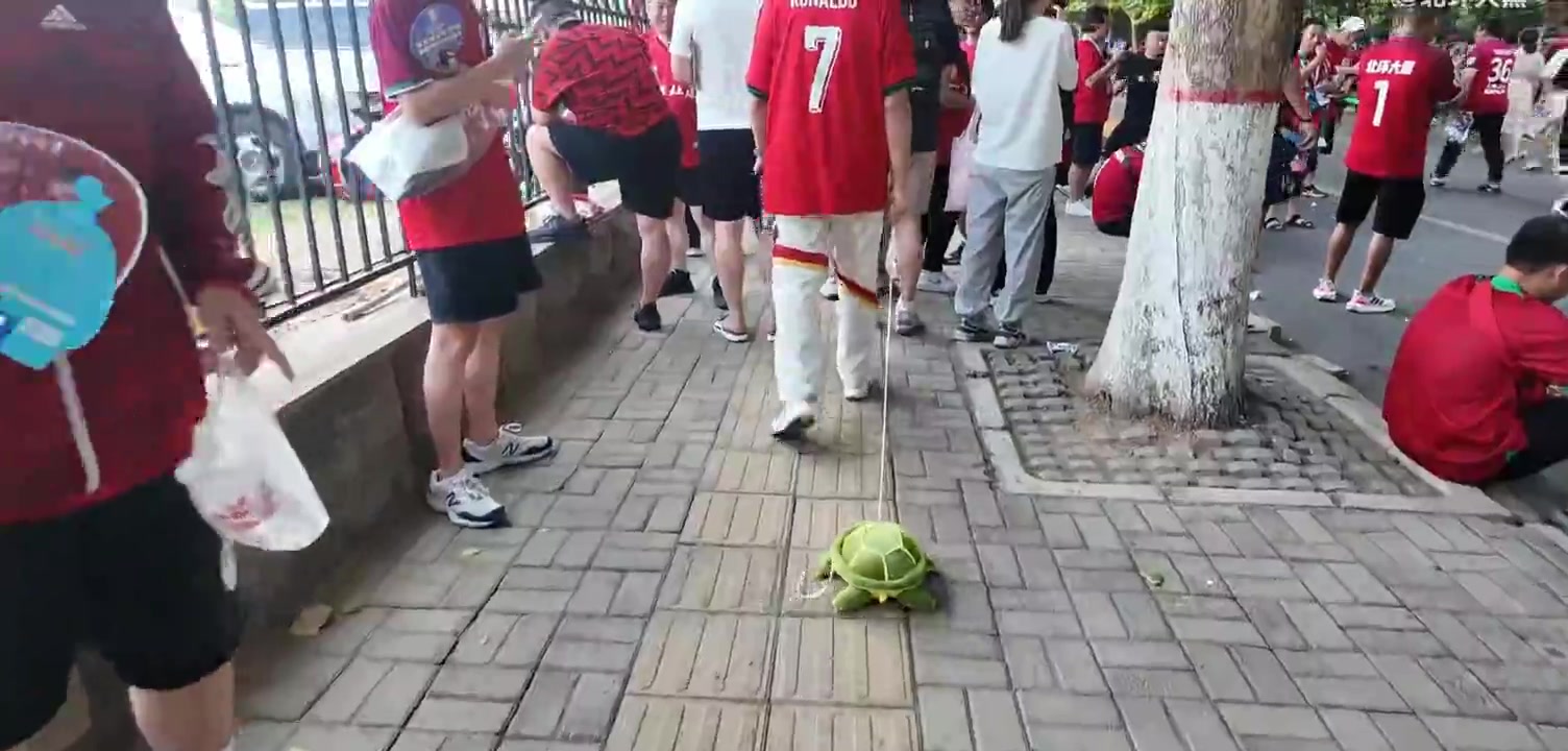 打趣，河南vs国安赛前，河南球迷人手一个玩具龟